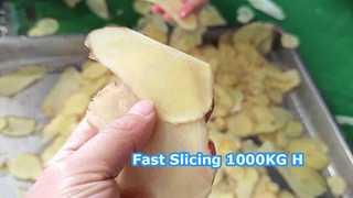 Центробежная машина для резки 1000 кг/ч