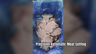 Автоматическая ленточная пила для мяса JYX-420 с углом резки 0-45 градусов