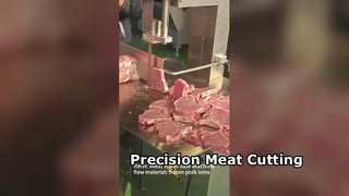 Ленточная пила для мясника JY310, прецизионная резка мяса